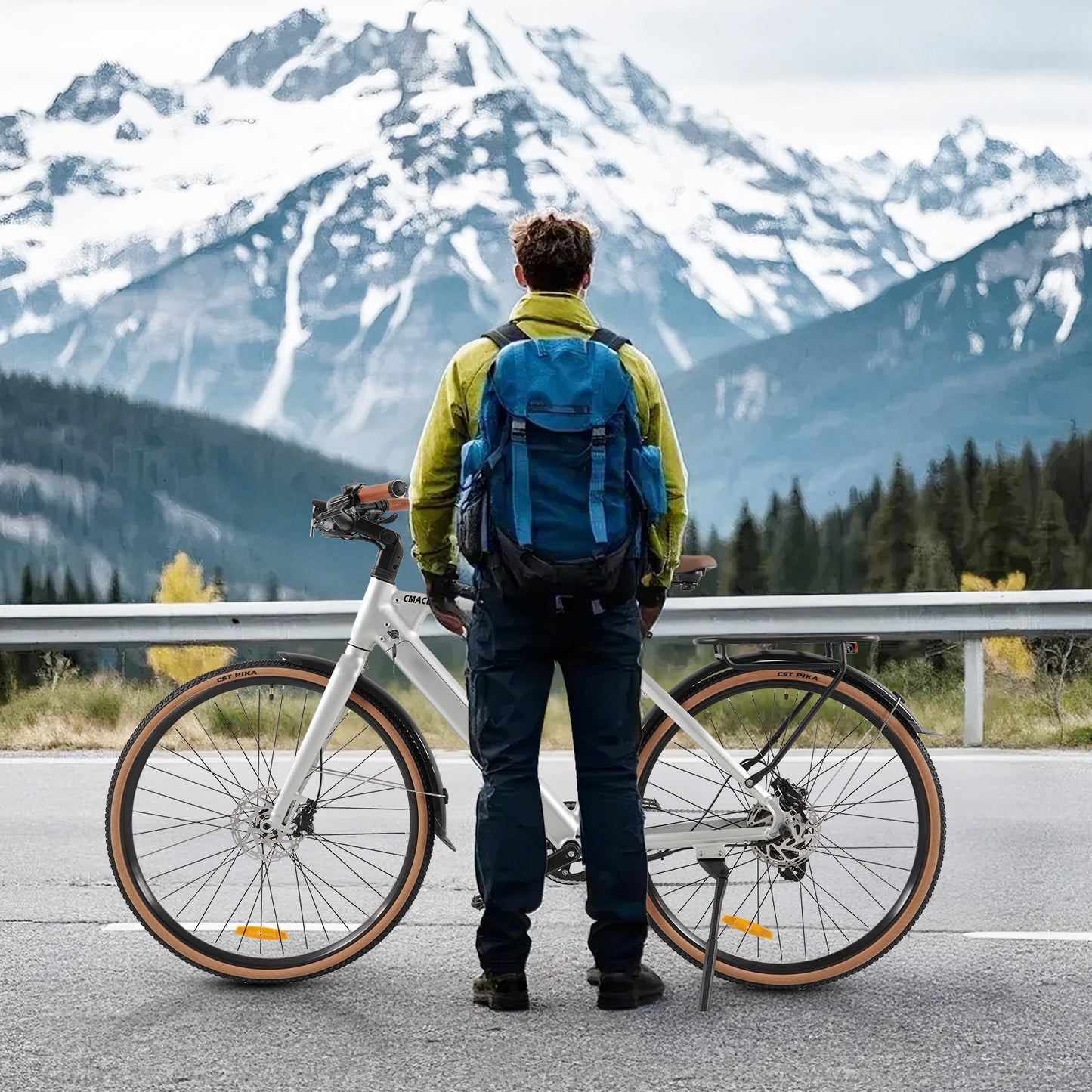 F700-2 Silvery ELECTRIC BIKE