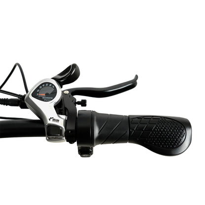 F26 ELECTRIC BIKE