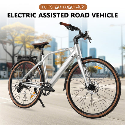 F700-2 Silvery ELECTRIC BIKE