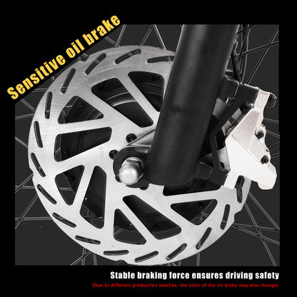 AL26 MAX ELECTRIC BIKE