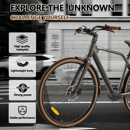 F700-1 Grey ELECTRIC BIKE