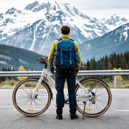 F700-2 Silvery ELECTRIC BIKE