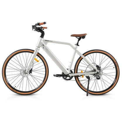F700-2 Silvery ELECTRIC BIKE