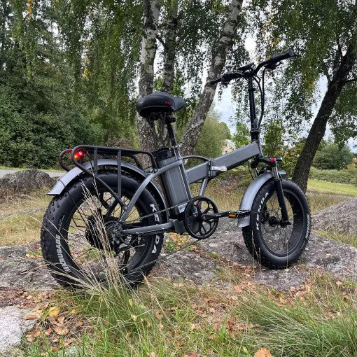 GW20 ELECTRIC BIKE