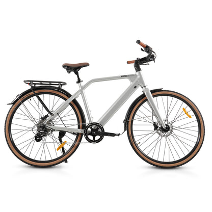 F700-2 Silvery ELECTRIC BIKE