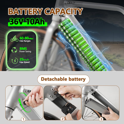 F700-2 Silvery ELECTRIC BIKE