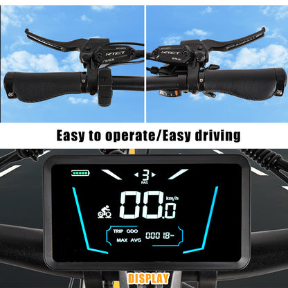 AL26 MAX ELECTRIC BIKE