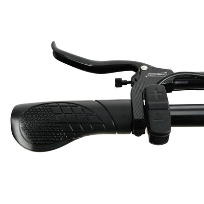 F26 ELECTRIC BIKE