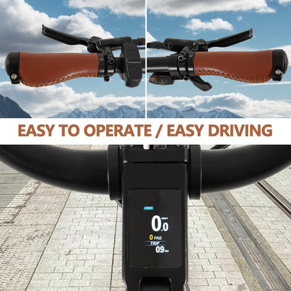 F700-2 Silvery ELECTRIC BIKE