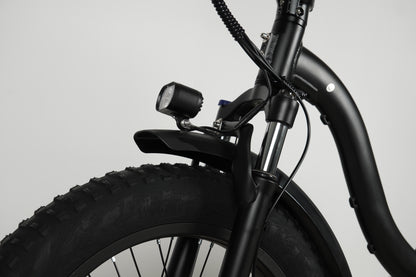 Y20 ELECTRIC BIKE