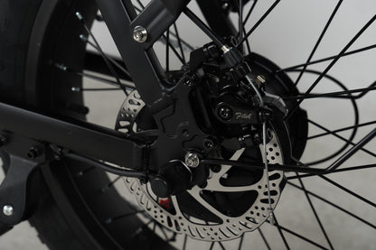 Y20 ELECTRIC BIKE