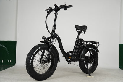 Y20 ELECTRIC BIKE